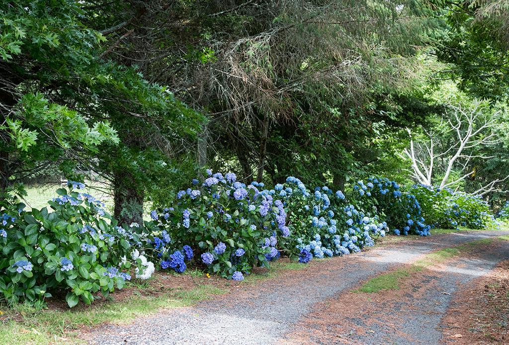 Doolans Country Retreat B&B Rotorua Dış mekan fotoğraf