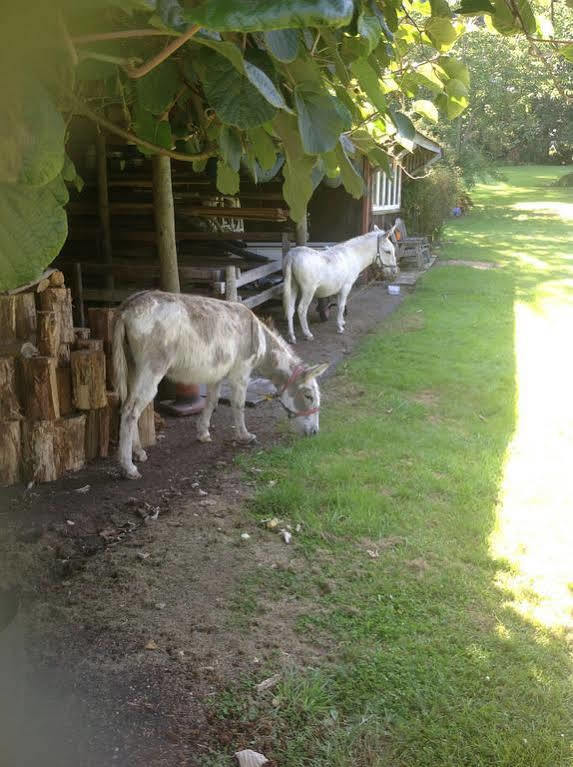 Doolans Country Retreat B&B Rotorua Dış mekan fotoğraf